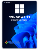 Microsoft Windows 11 Pro | Licença Digital ESD