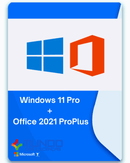 WINDOWS 11 PRO + OFFICE 2021 PRO PLUS
