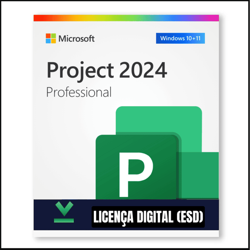 PROJECT 2024 PRO